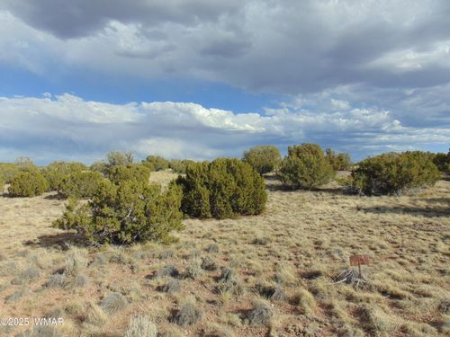 38 Gila Dr, Concho, AZ, 85924 | Card Image
