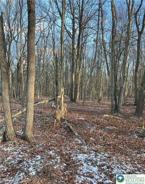 124 Ash Dr, Long Pond, PA, 18334-7702 | Card Image