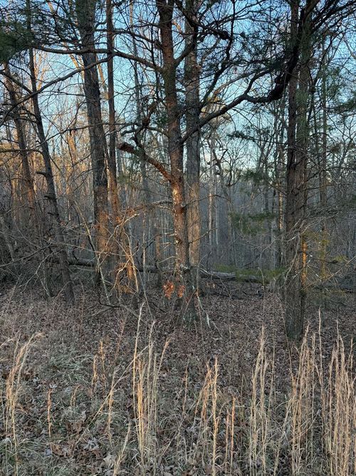 Lot 5 Laurel Pl, Monterey, TN, 38574-7205 | Card Image
