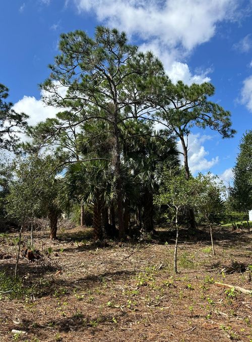 9125 106th Avenue, Vero Beach, FL, 32967 | Card Image