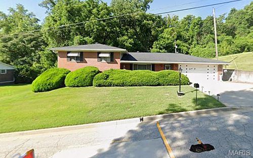 9010 Edouard St, East Saint Louis, IL, 62203-2206 | Card Image