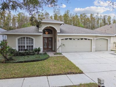 19728 Morden Blush Drive, House other with 4 bedrooms, 2 bathrooms and null parking in Lutz FL | Image 1