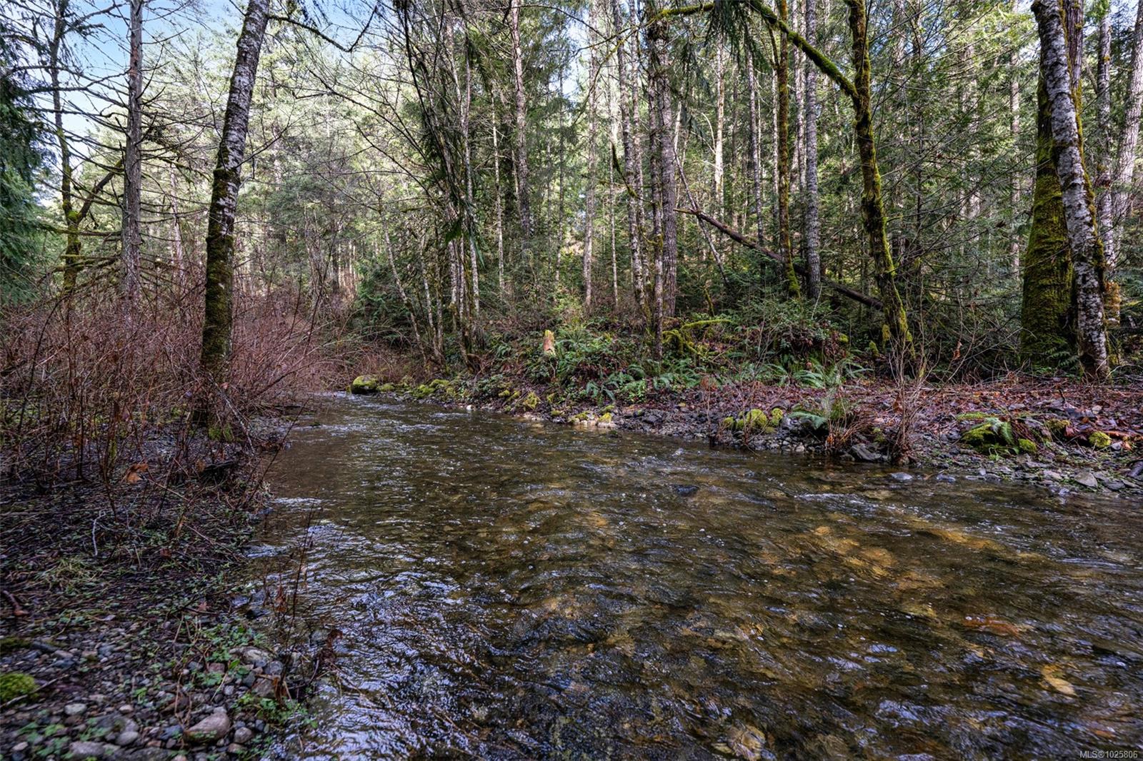 Residential in Malahat 4
