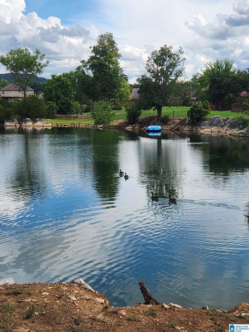 342 Creekside Ln, Hoover, AL, 35124-3981 | Card Image