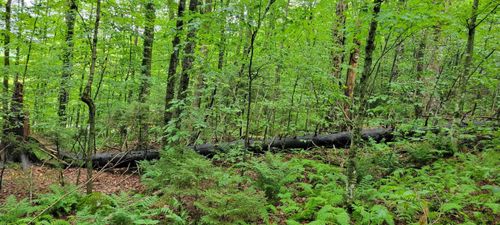 00 Heartwellville View Rd, Readsboro, VT, 05350 | Card Image