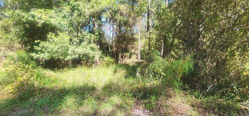 424 Dogwood Ave, Georgetown, FL, 32139 | Card Image