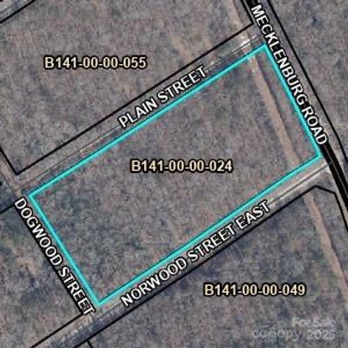 316 Plain St, Bethune, SC, 29009 | Card Image