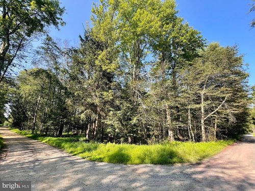 C/8 Bald Eagle And Campfire, Gouldsboro, PA, 18424 | Card Image
