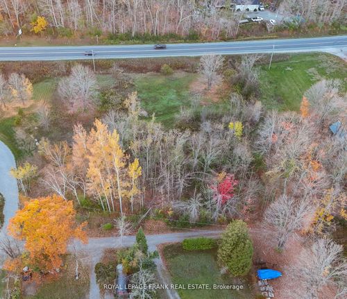 PT LT 20 Fire Route 121, Trent Lakes, ON, K0M1A0 | Card Image