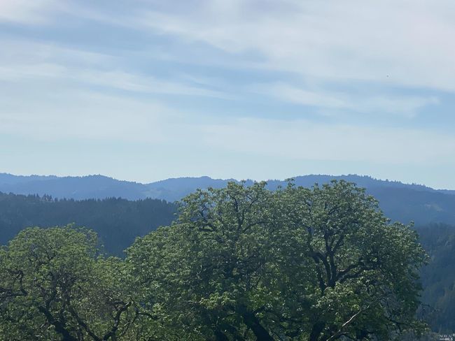 19010 Hulbert Rd, Home with 0 bedrooms, 0 bathrooms and null parking in Yorkville CA | Image 13