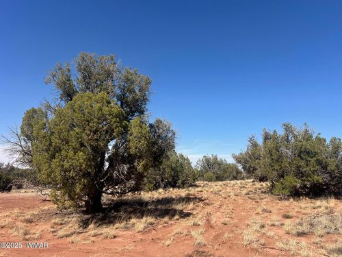 5450 County Line Rd, Snowflake, AZ, 85937-5929 | Card Image
