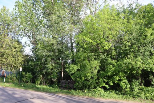 ON Huron St, Three Lakes, WI, 54562 | Card Image