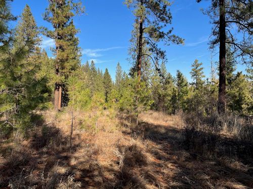 Lot 2 Wapiti/Bob White Ln, Davenport, WA, 99122 | Card Image