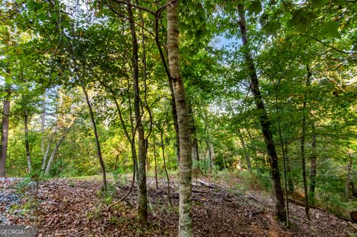 LT 2076R Parody Cir, Ellijay, GA, 30540 | Card Image