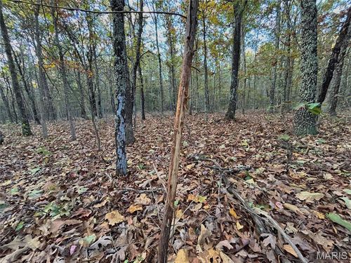 2 County Road 4215, Salem, MO, 65560 | Card Image