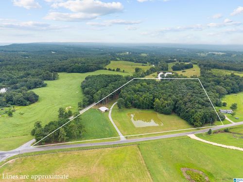 9869 County Highway 24, Oneonta, AL, 35121-7953 | Card Image