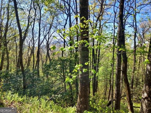 0 LOT 40 Pipetrack Gap Rd, Scaly Mountain, NC, 28775 | Card Image