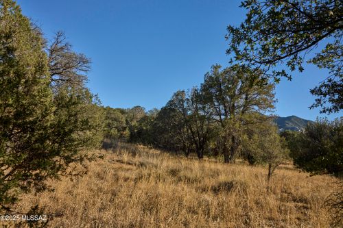 10-TBD Paradise Ave, San Simon, AZ, 85632 | Card Image