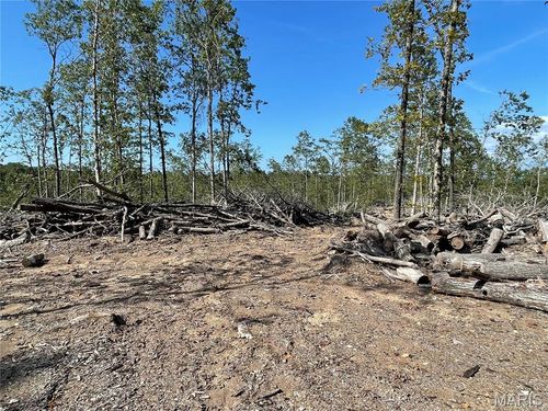 000 N Main St, Piedmont, MO, 63957 | Card Image