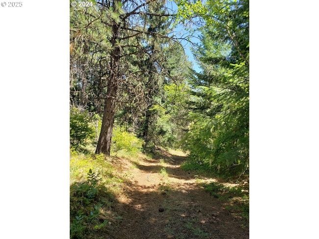 492 Sleepy Hollow Rd, Home with 0 bedrooms, 0 bathrooms and null parking in Appleton WA | Image 13