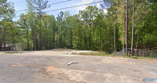 61 Hartsfield Dr, Steele, AL, 35987-4500 | Card Image