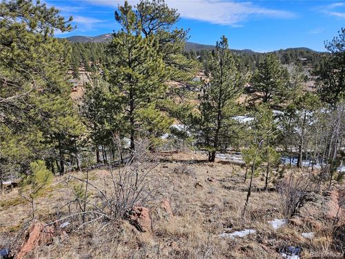 147 Ward St, BAILEY, CO, 80421-1427 | Card Image