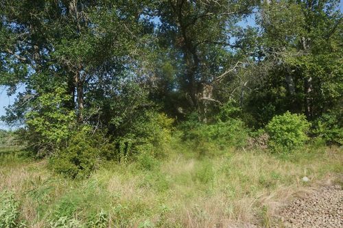 0 An County Road 1204, Elkhart, TX, 75839 | Card Image