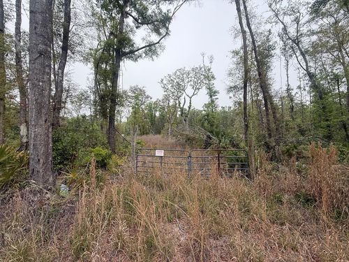 LOT 12 Ne 355th Ave, Old Town, FL, 32680-2006 | Card Image