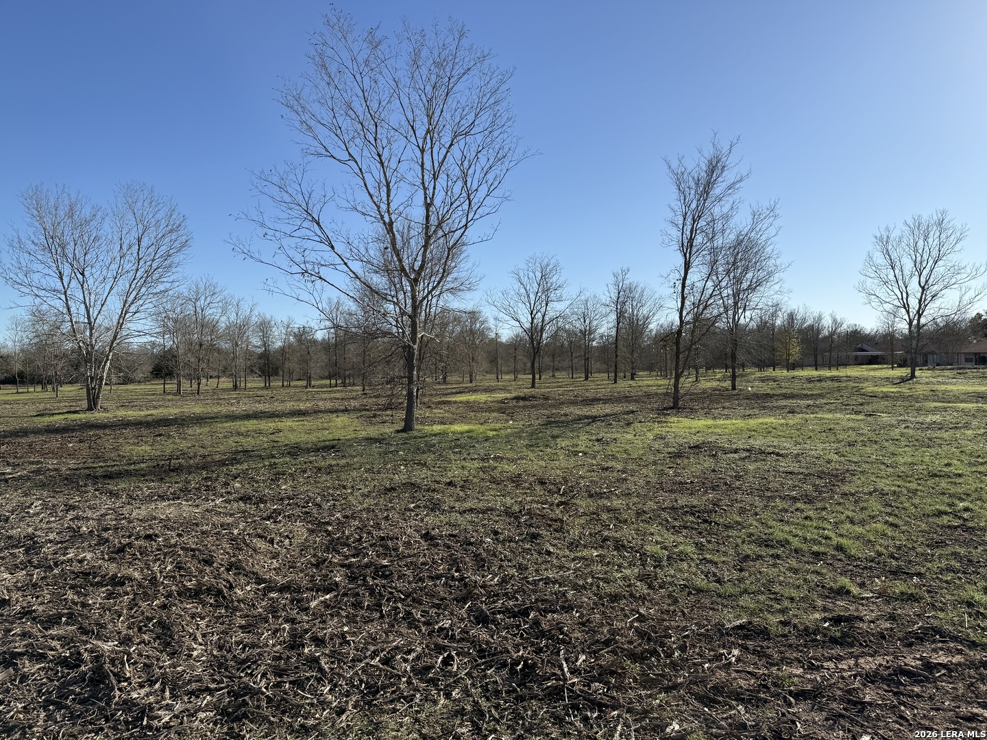 Land in Seguin 5