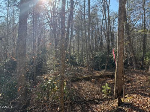 805 Bogard Creek Rd, Cosby, TN, 37722 | Card Image