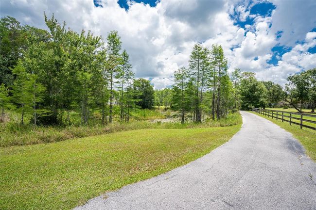 11933 Pasco Trails Blvd, House other with 4 bedrooms, 3 bathrooms and null parking in SPRING HILL FL | Image 38