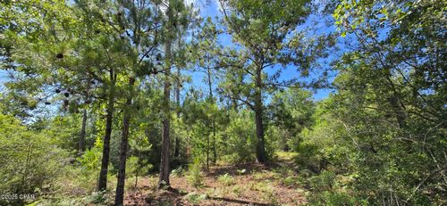 0 Joy Ave, Marianna, FL, 32448 | Card Image