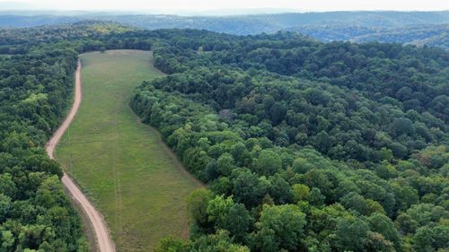 86A Williamson Trail, Guion, AR, 72540 | Card Image