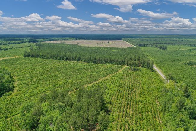 DJI_0451 | Image 41