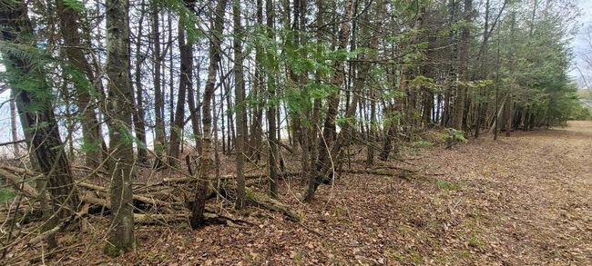 Lt0 E State Highway M35, Home with 0 bedrooms, 0 bathrooms and null parking in INGALLSTON MI | Image 22