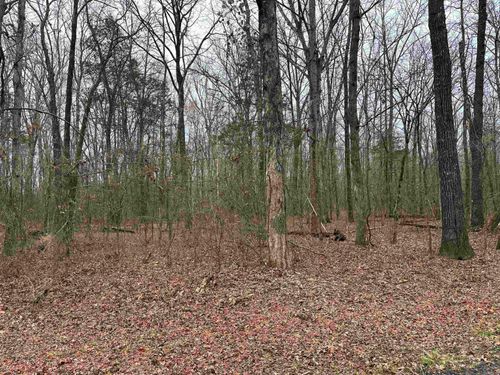 Lot 17 Woodland, Greers Ferry, AR, 72067 | Card Image