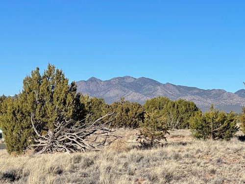 50 Turquoise Dr, Sandia Park, NM, 87047-9515 | Card Image