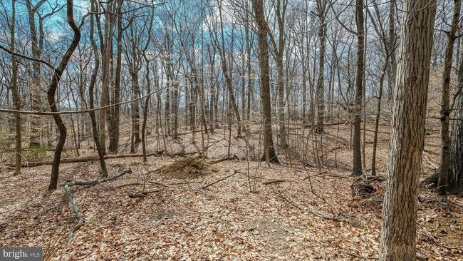 35 Declaration Dr, House other with 4 bedrooms, 3 bathrooms and null parking in NEWTOWN PA | Image 44