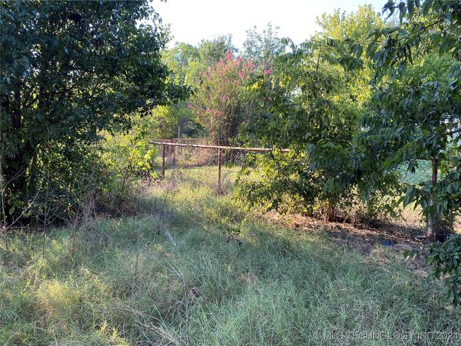 Trees near the back of the property | Image 5