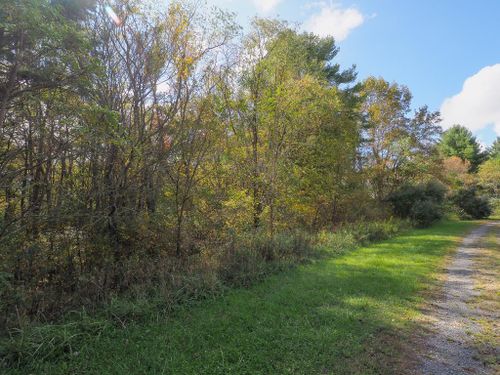 TBD Blue Lake Ln (Lot #40), Laurel Fork, VA, 24352 | Card Image