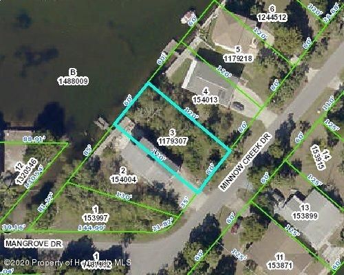 00 Minnow Creek (Lot 3), Hernando Beach, FL, 34607 | Card Image