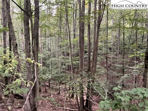 145 Raccoon Rd, Beech Mountain, NC, 28604-8170 | Card Image