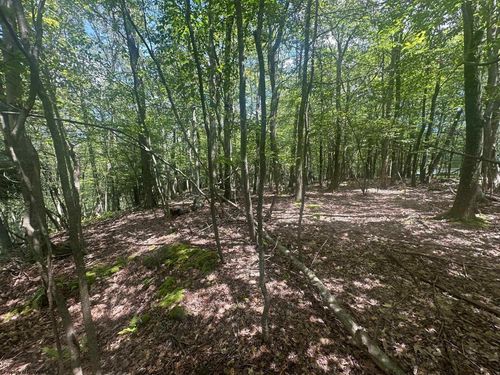 lot-97-st-moritz-section-97 Daylily Court, Terra Alta, WV, 26764 | Card Image