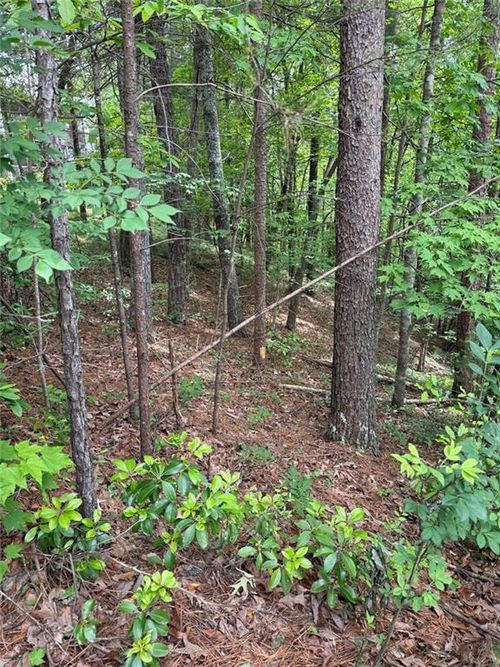 0 Hinterstraten Weg, Helen, GA, 30545 | Card Image