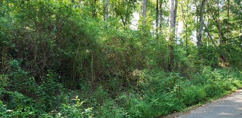0 Treeline Dr, Dunlap, TN, 37327 | Card Image
