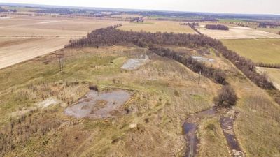 0 Highway 53  Wetland Acreage, Home with 0 bedrooms, 0 bathrooms and null parking in Campbell MO | Image 3