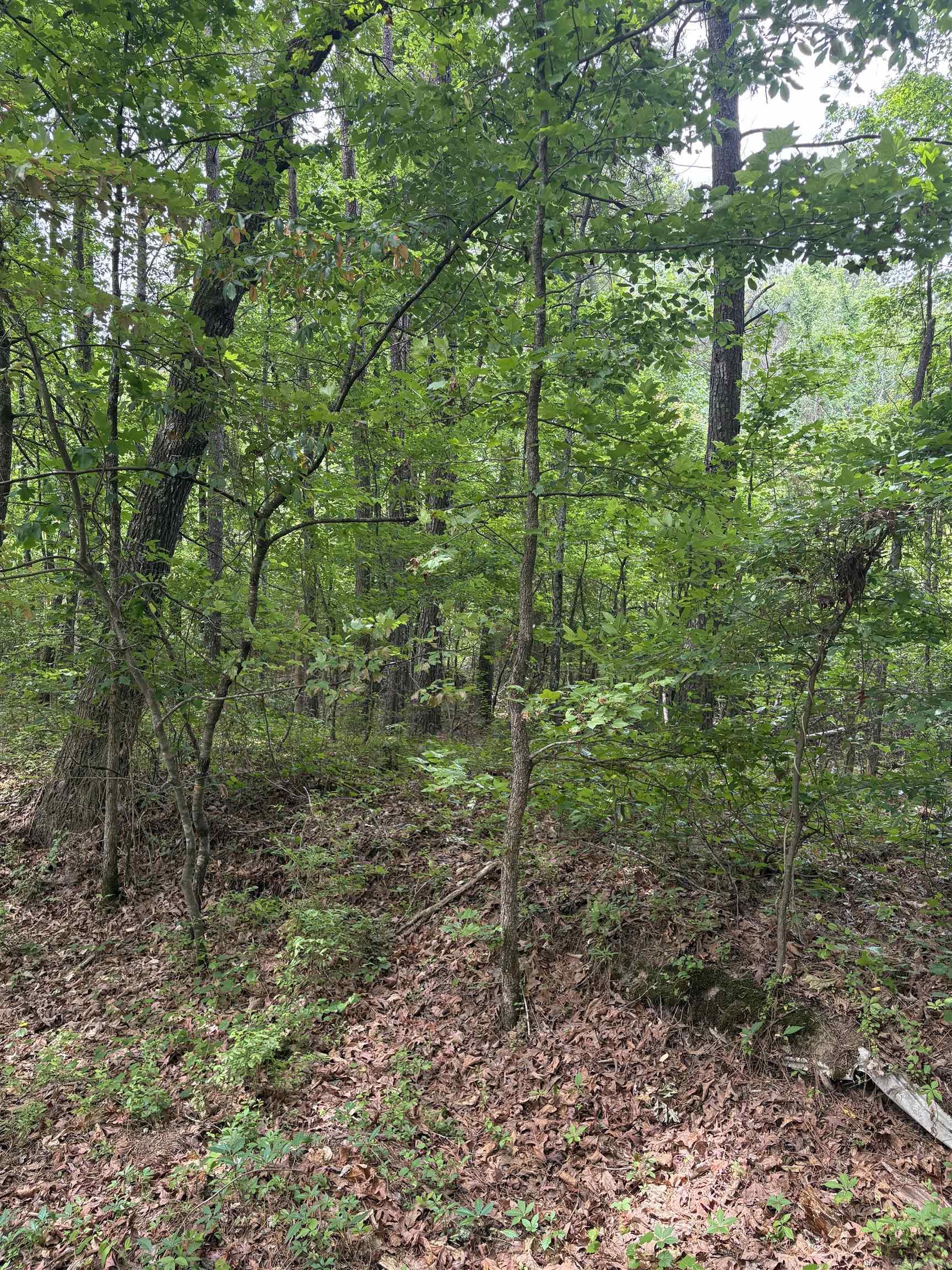 Land in Hensley 4