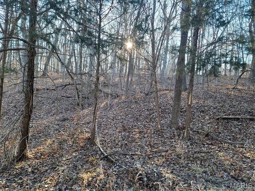 Lot 13 High Meadow Drive, Robertsville, MO, 63072 | Card Image