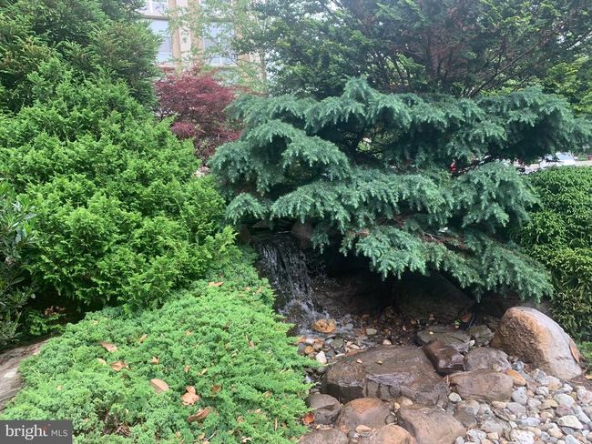APT-706 - 9039 Sligo Creek Pkwy, Condo with 1 bedrooms, 1 bathrooms and null parking in SILVER SPRING MD | Image 29