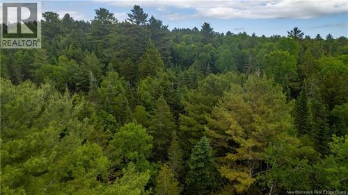 172 Lily Hill Rd, Oak Bay, NB, E3L4E6 | Card Image